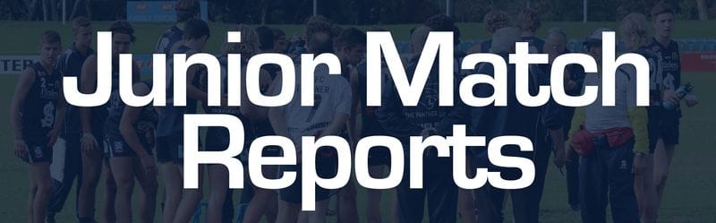Juniors Report: Round 7 - South Adelaide vs Sturt